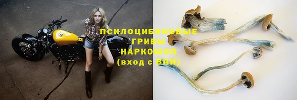 а пвп мука Богородск